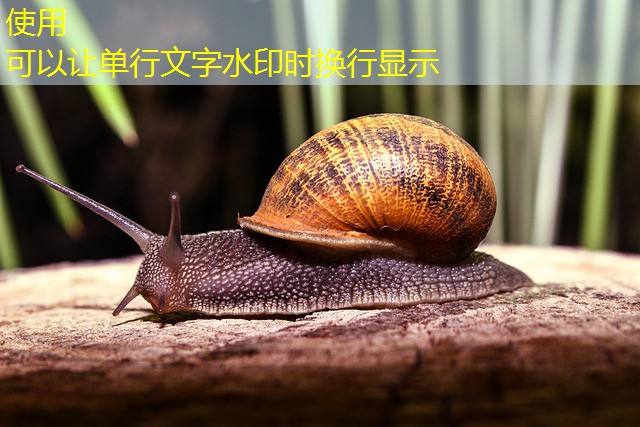 como baixar os jogos cassino magic6