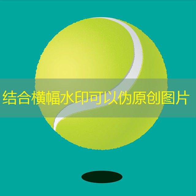 jogo de bingo gratis cassino brasil