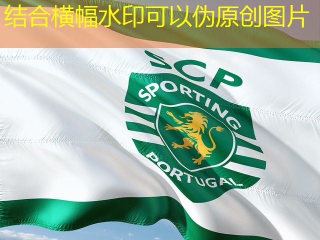 cd de jogos de cassino