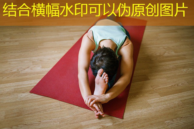 jogos apostados em cassinos