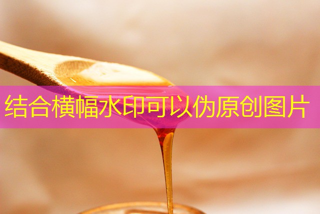 jogos de apostar cassino