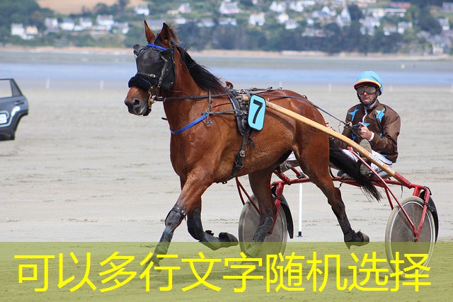 jogos de cassino e caça niquel a verdade