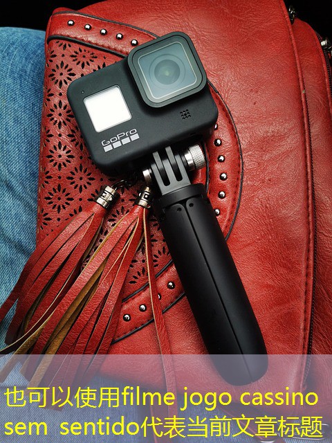 filme jogo cassino sem sentido