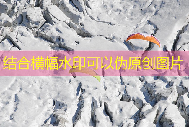 jogo roleta cassino comprar