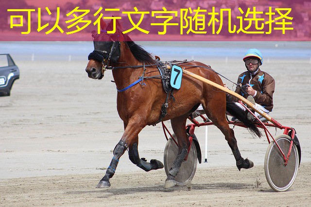 venda jogos de cassinos