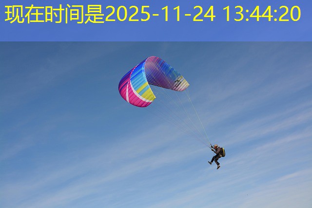 playbonds jogo de bingo gratis e cassino