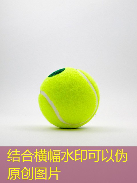 jogos para cassino com cadastro