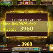china-link china-link